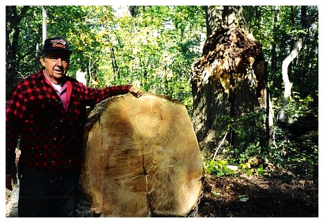 1992.. Rob and the beloved-but-fallen big oak by the glen.jpg